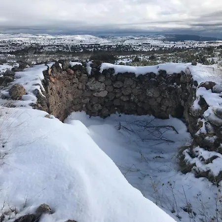La Bodega De Lola Alcublas