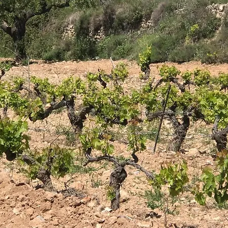 La Bodega De Lola Σπίτι διακοπών