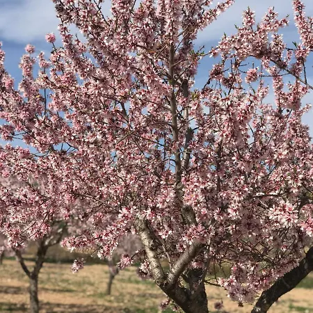 Nyaraló La Bodega De Lola Alcublas