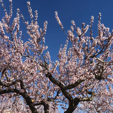 La Bodega De Lola Σπίτι διακοπών *