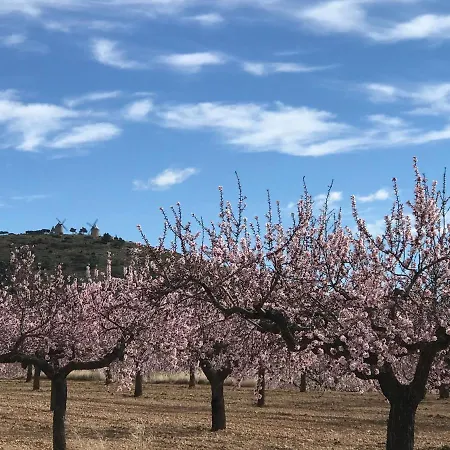 La Bodega De Lola Alcublas