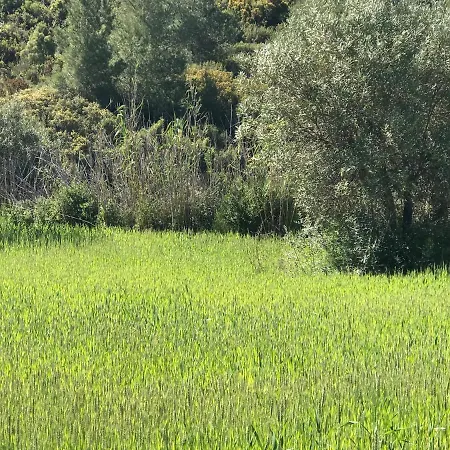 Nyaraló La Bodega De Lola Alcublas