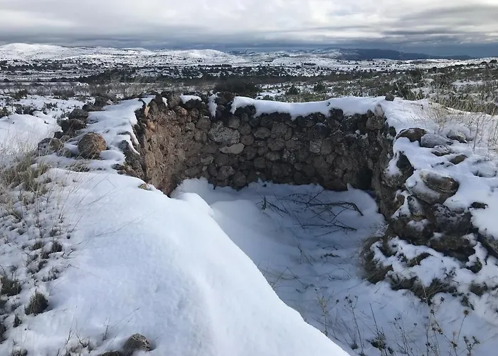 La Bodega De Lola Alcublas