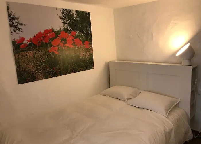 La Bodega De Lola
