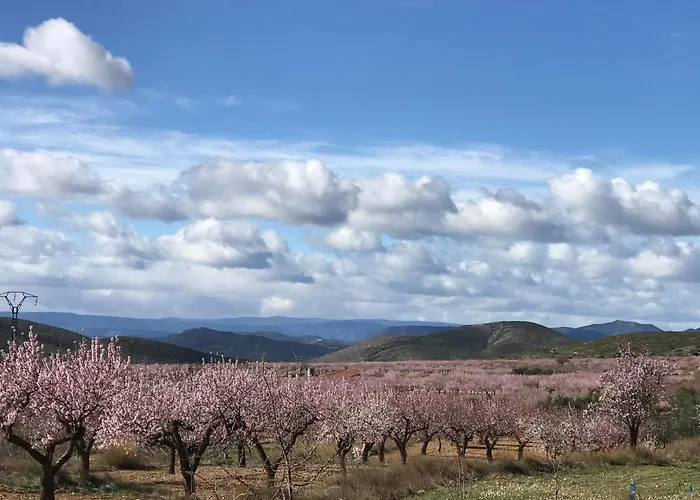 Holiday home La Bodega De Lola Alcublas