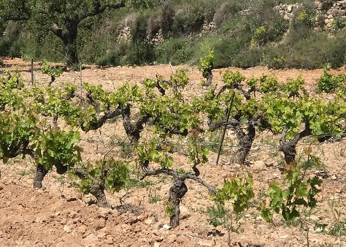 La Bodega De Lola Holiday home