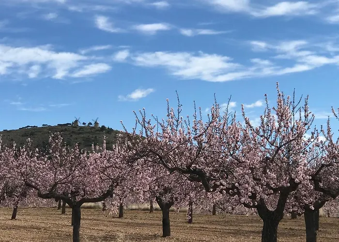 La Bodega De Lola Alcublas