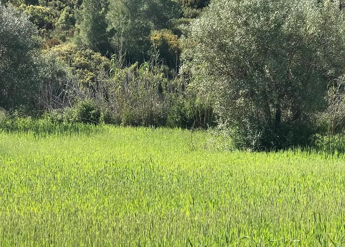 Holiday home La Bodega De Lola Alcublas